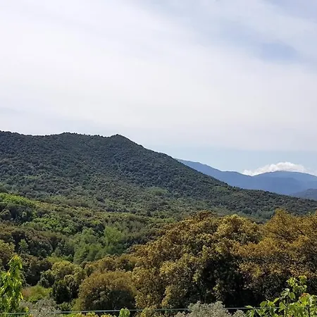 شقة Grande Maison De Santa-Maria-Siche